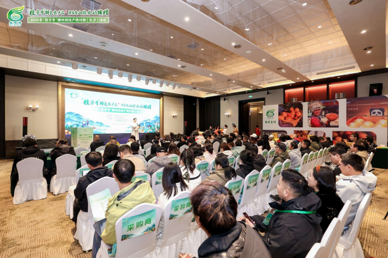 桂字号”柳州柑桔绽放星城，产销对接共绘华中市场新蓝图